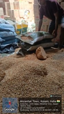 Water Affected Stock of Arhar Dal
